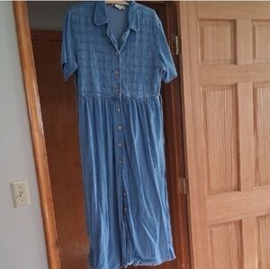 Blue Button-Up Denim Dress